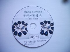 <b>《土元实用养殖技术》教程教材</b>