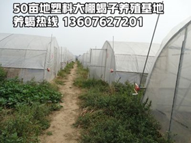 <b> 在哪里培训蝎子养殖技术，郏县塑料大棚蝎子养殖基地培训</b>