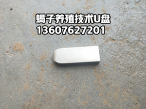 <b>30分钟养蝎技术教程展示片，免费试学30分钟郏县蝎子养殖技术视频教程U盘</b>