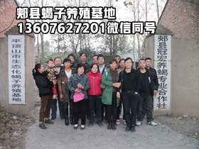<b>什么样的人不适合养殖蝎子</b>