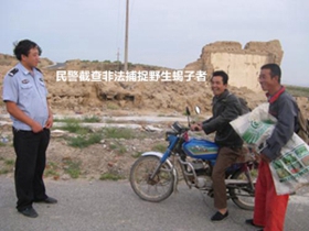 <b>怎么识破蝎子养殖加盟骗局《蝎子养殖骗局照妖镜》</b>
