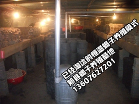<b>蝎子养殖大王陈超峰揭穿蝎子养殖骗局(第四集）郏县蝎子养殖场基地陈超峰直</b>
