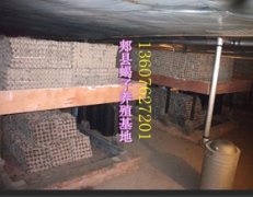 <b>家庭蝎子养殖技术养殖蝎子基地养蝎子的最简单方法</b>