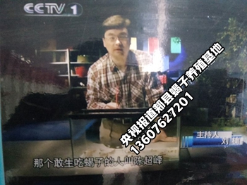 <b>CCTV7采访养蝎专家陈超峰养蝎专家陈超峰家养品种的蝎子就是家养蝎郏县蝎子养</b>