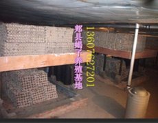 <strong>最适合养殖蝎子的环境蝎子养殖温度多少为好</strong>