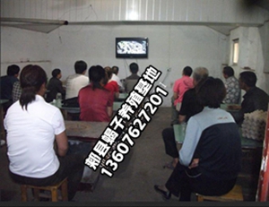 <b>先学会养蝎技术再养蝎子，没有技术谁养蝎子谁失败，不服气你试试？</b>