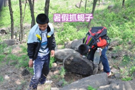 <strong>蝎子养殖入门蝎子家庭养殖的方法</strong>